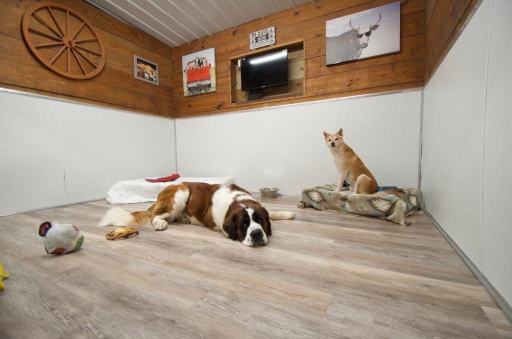 Boarding – Ponderosa Pet Ranch